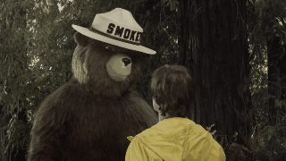 Smokey the Bear likes State Parks